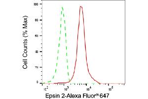 Flow cytometric analysis of Epsin 2 expression in HeLa cells using Epsin 2 antibody (ABIN7798489), 1:1,000). (Epsin 2 抗体)