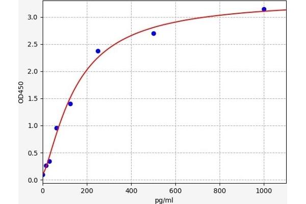 CYP11B1 ELISA 试剂盒