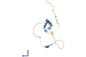AlphaFold protein structure predicition of Mouse Recombinant Tipin Protein, UniprotID Q91WA1