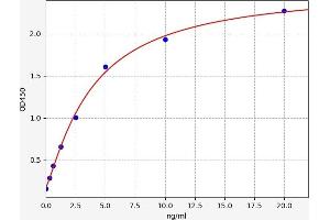 Typical standard curve (REPIN1 ELISA 试剂盒)