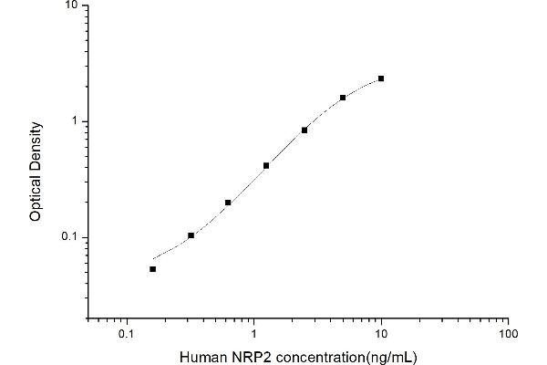 NRP2 ELISA 试剂盒