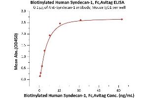 Immobilized Acan-1 antibody, Mouse IgG1 at 1 μg/mL (100 μL/well) can bind Biotinylated Human Syndecan-1, Fc,Avitag (ABIN6973274) with a linear range of 0. (Syndecan 1 Protein (SDC1) (AA 23-254) (Fc Tag,AVI tag,Biotin))