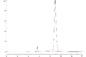 Size-exclusion chromatography-High Pressure Liquid Chromatography (SEC-HPLC) image for Cytokine Receptor-Like Factor 2 (CRLF2) (AA 25-231) protein (His tag) (ABIN7275802)