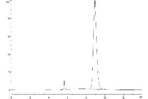 The purity of Human TSLPR is greater than 95 % as determined by SEC-HPLC. (CRLF2 Protein (AA 25-231) (His tag))