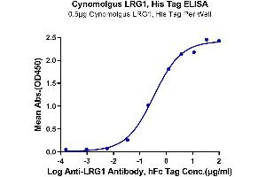 ELISA image for Leucine-Rich alpha-2 Glycoprotein 1 (LRG1) (AA 72-383) protein (His tag) (ABIN7275201)