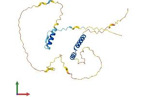 Protein Structure (PS) image for Frequently Rearranged in Advanced T-Cell Lymphomas 2 (FRAT2) (AA 1-231) protein (His tag) (ABIN7559419)