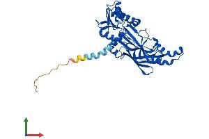 Protein Structure (PS) image for Protein Arginine Methyltransferase 6 (PRMT6) (AA 1-375) protein (His tag) (ABIN7552220)