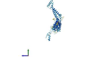 AlphaFold protein structure predicition of Mouse Recombinant Sf3a3 Protein, UniprotID Q9D554