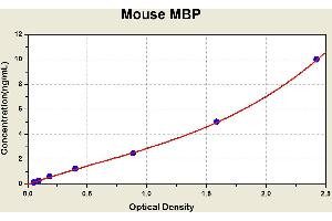 Myelin Basic Protein (MBP) ELISA Kit