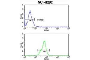 Flow Cytometry (FACS) image for anti-Protein Tob1 (TOB1) antibody (ABIN3003808) (Protein Tob1 (TOB1) 抗体)