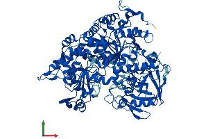Protein Structure (PS) image for Aconitase 1 (ACO1) (AA 1-889) protein (His tag) (ABIN7551945)