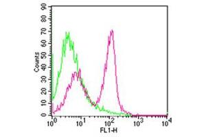 Flow Cytometry (FACS) image for anti-CD3 epsilon (CD3E) antibody (FITC) (ABIN6657857)