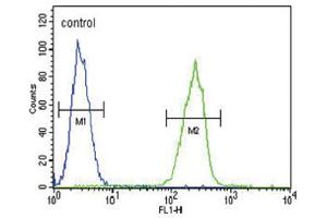 Flow Cytometry (FACS) image for anti-Serpin Family A Member 7 (SERPINA7) antibody (ABIN3002767) (SERPINA7 抗体)