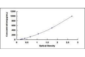 ELISA image for Interferon gamma (IFNG) ELISA Kit (ABIN416000)