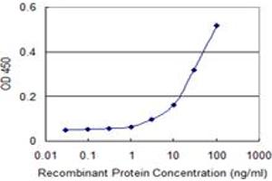 Detection limit for recombinant GST tagged RXRB is 1 ng/ml as a capture antibody. (Retinoid X Receptor beta 抗体  (AA 161-260))