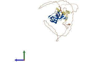 AlphaFold protein structure predicition of Human Recombinant MYOT Protein, UniprotID Q9UBF9