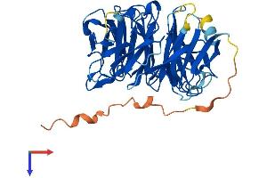 Protein Structure (PS) image for WD Repeat Domain 89 (WDR89) (AA 1-387) protein (His tag) (ABIN7545168)