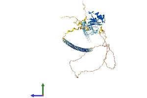 Protein Structure (PS) image for Zinc Finger (CCCH Type), RNA-Binding Motif and serine/arginine Rich 2 (ZRSR2) (AA 1-482) protein (His tag) (ABIN7544860)