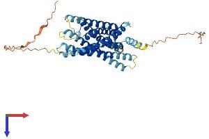 Protein Structure (PS) image for G Protein-Coupled Receptor 34 (GPR34) (AA 1-381) protein (His tag) (ABIN7548175)