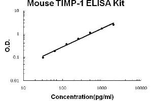 Mouse TIMP-1 PicoKine ELISA Kit standard curve (TIMP1 ELISA 试剂盒)