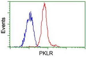 Flow cytometric Analysis of Jurkat cells, using anti-PKLR antibody (ABIN2453478), (Red), compared to a nonspecific negative control antibody (ABIN2453478), (Blue). (PKLR 抗体)