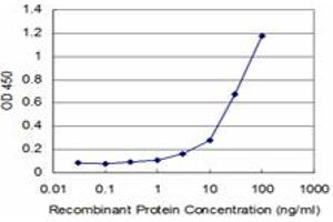 Detection limit for recombinant GST tagged STYK1 is approximately 3ng/ml as a capture antibody. (STYK1 抗体  (AA 50-159))