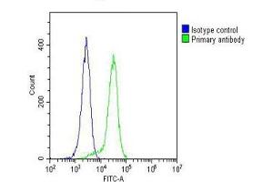 Overlay histogram showing Hela cells stained with (ABIN6242844 and ABIN6577191)(green line). (CYLD 抗体  (AA 305-582))