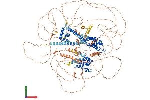 Protein Structure (PS) image for Bromodomain Containing 8 (BRD8) (AA 1-1235) protein (His tag) (ABIN7552844)