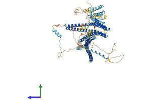 Protein Structure (PS) image for WAS Protein Homolog Associated with Actin, Golgi Membranes and Microtubules (WHAMM) (AA 1-809) protein (His tag) (ABIN7556003)