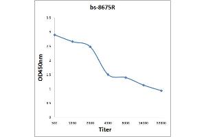 BDKRB1 抗体  (AA 161-260)