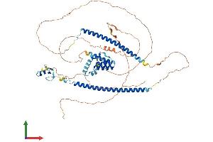 Protein Structure (PS) image for Core-binding Factor, Runt Domain, alpha Subunit 2, Translocated To, 3 (CBFA2T3) (AA 1-620) protein (His tag) (ABIN7562458)