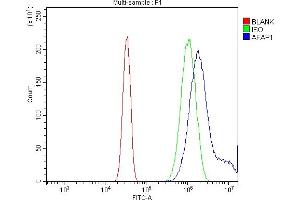 Flow Cytometry analysis of U20S cells using anti-AFAP/AFAP1 antibody (ABIN7601861).