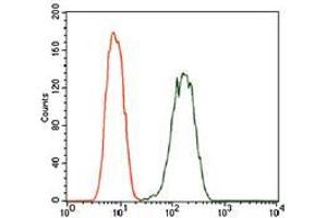 Flow cytometric analysis of A549 cells using PDE1B mouse mAb (green) and negative control (red).