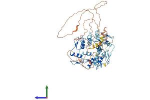 Protein Structure (PS) image for Zinc Finger Protein 519 (ZNF519) (AA 1-540) protein (His tag) (ABIN7545330)
