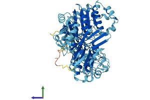 AlphaFold protein structure predicition of Mouse Recombinant Abce1 Protein, UniprotID P61222