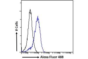(ABIN302176) Flow cytometric analysis of paraformaldehyde fixed A431 cells (blue line), permeabilized with 0. (APOLD1 抗体  (C-Term))