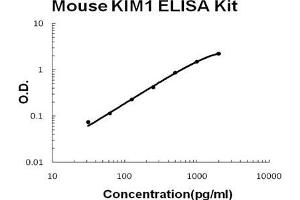Mouse KIM1 PicoKine ELISA Kit standard curve (HAVCR1 ELISA 试剂盒)