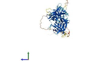 Protein Structure (PS) image for Recombination Signal Binding Protein For Immunoglobulin kappa J Region-Like (RBPJL) (AA 1-515) protein (His tag) (ABIN7562189)