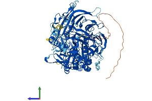 Protein Structure (PS) image for Dipeptidyl-Peptidase 8 (DPP8) (AA 1-898) protein (His tag) (ABIN7553742)