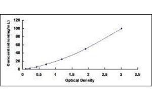Glyceraldehyde-3-Phosphate Dehydrogenase (GAPDH) ELISA Kit