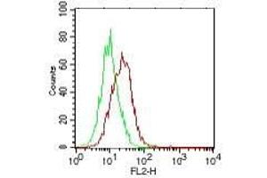 Image no. 2 for anti-Interleukin 25 (IL25) antibody (Biotin) (ABIN1102480) (IL-25 抗体  (Biotin))