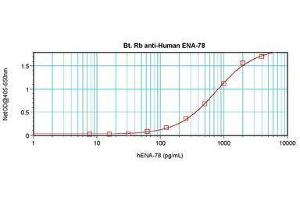 Image no. 1 for anti-Chemokine (C-X-C Motif) Ligand 5 (CXCL5) antibody (Biotin) (ABIN464994) (CXCL5 抗体  (Biotin))