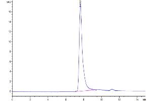 Size-exclusion chromatography-High Pressure Liquid Chromatography (SEC-HPLC) image for Pleiotrophin (PTN) (AA 33-168) protein (Fc Tag) (ABIN7275498)