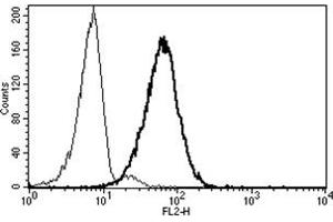 Flow Cytometry (FACS) image for anti-Membrane Metallo-Endopeptidase (MME) antibody (PE) (ABIN1105723) (MME 抗体  (PE))