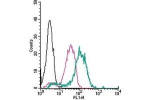 Flow Cytometry (FACS) image for anti-Transient Receptor Potential Cation Channel, Subfamily V, Member 4 (TRPV4) (AA 647-662), (Extracellular) antibody (FITC) (ABIN7043854)