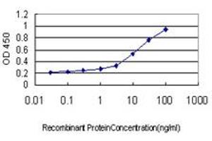 Detection limit for recombinant GST tagged IQGAP3 is approximately 0. (IQGAP3 抗体  (AA 602-698))