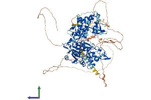 Protein Structure (PS) image for DNA (Cytosine-5-)-Methyltransferase 3 alpha (DNMT3A) (AA 1-912) protein (His tag) (ABIN7553688)