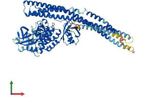 Protein Structure (PS) image for TANK-Binding Kinase 1 (TBK1) (AA 1-729) protein (His tag) (ABIN7565222)