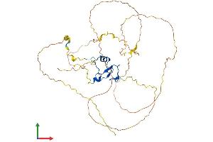 Protein Structure (PS) image for Pygopus Homolog 1 (Drosophila) (PYGO1) (AA 1-417) protein (His tag) (ABIN7560847)
