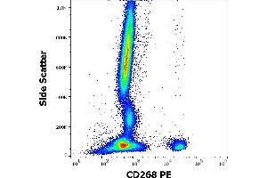 Flow cytometry surface staining pattern of human peripheral whole blood stained using anti-human CD268 (11C1) PE antibody (10 μL reagent / 100 μL of peripheral whole blood). (TNFRSF13C 抗体  (PE))